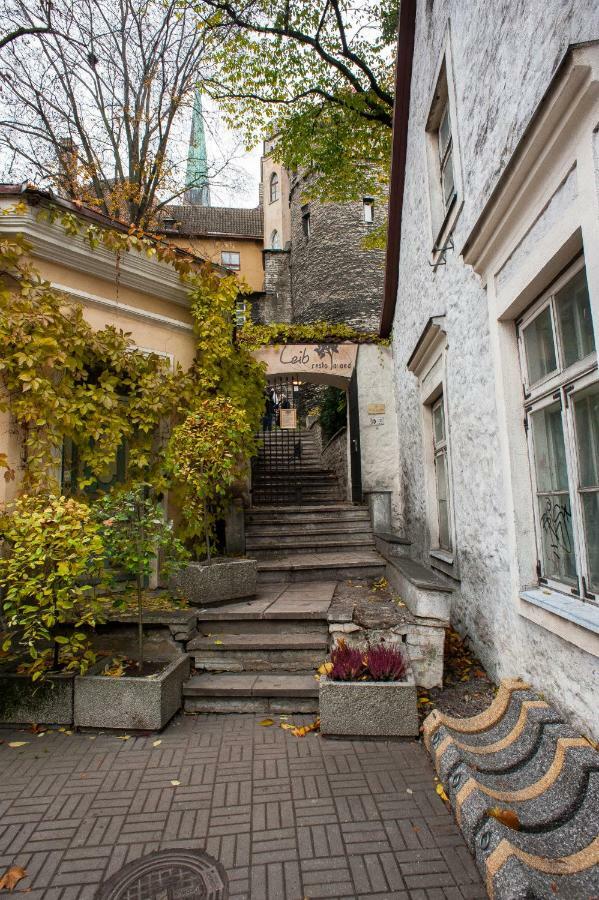 Baltic Accommodation 1 - Rumbi 4-36 Tallin Zewnętrze zdjęcie